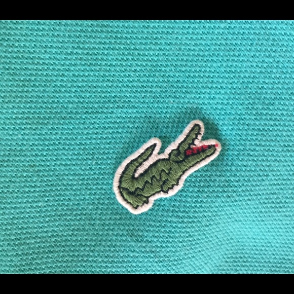 Lacoste and polo - Picture 2 of 5